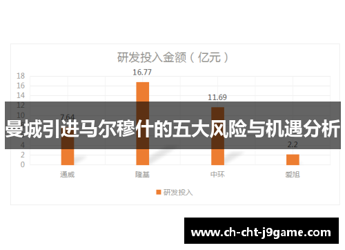 曼城引进马尔穆什的五大风险与机遇分析
