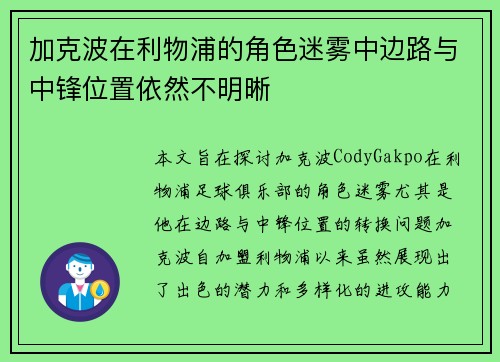 加克波在利物浦的角色迷雾中边路与中锋位置依然不明晰 加克波在利物浦的角色迷雾中边路与中锋位置依然不明晰